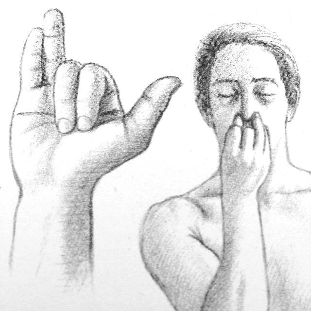 vishnu mudra copie.jpg