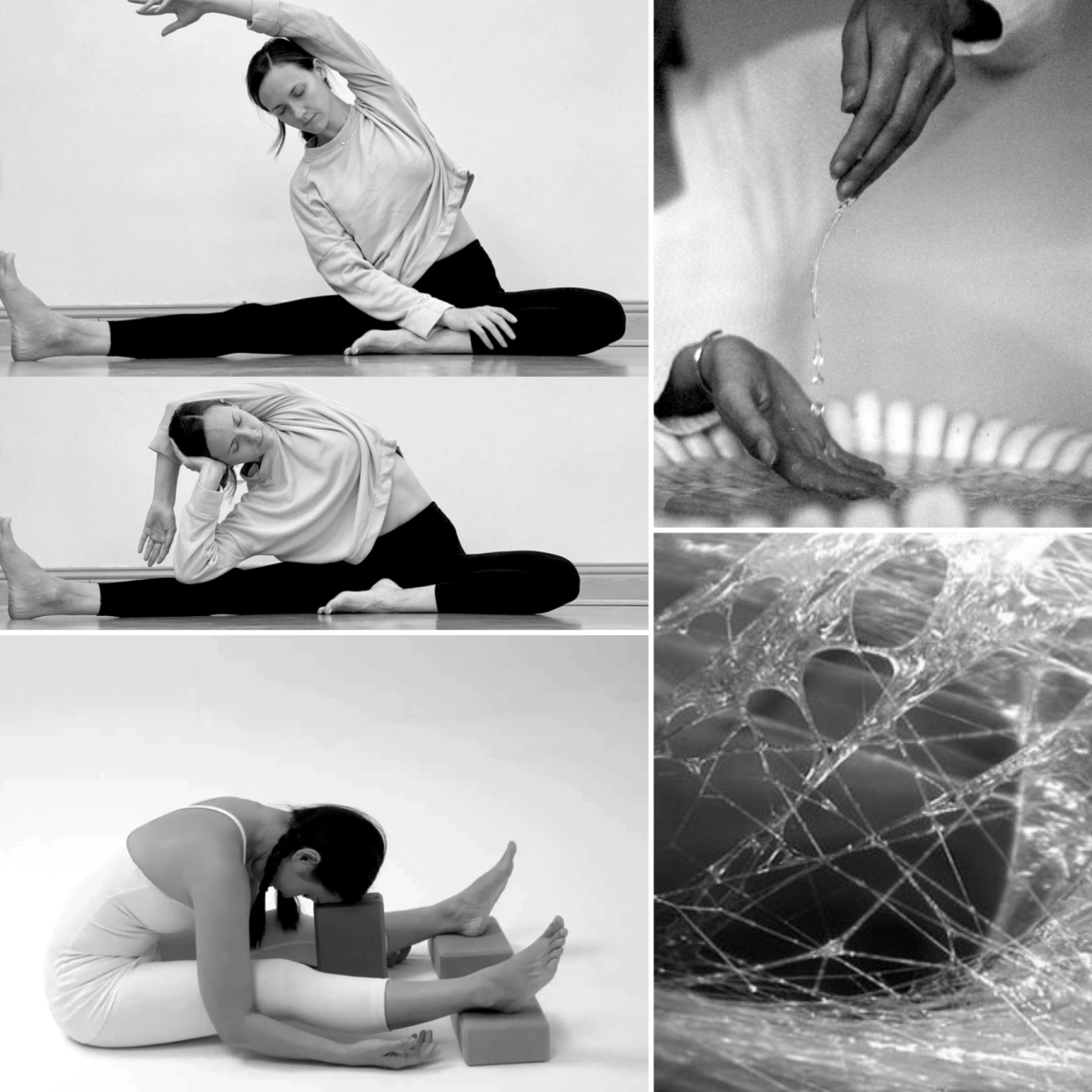 L&rsquo;ATELIER DE YIN YOGA (MENSUEL) 2025/2026